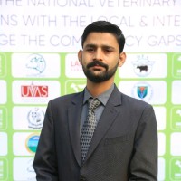 Ammar Qadeer