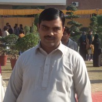 Mian M. Sajid Waseem