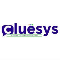 Cluesys Web Technologies