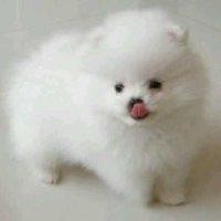 胡梁伟