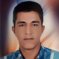 Javad Fadaei