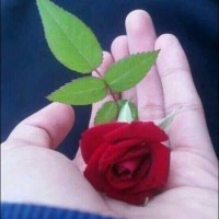 فوفو فوفو
