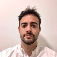 Riccardo Guglielmi
