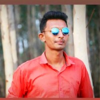 Vipulkumar Mer