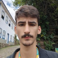 Matheus Henrique Ferreira da Costa