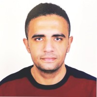 Osama M. Ghoneim