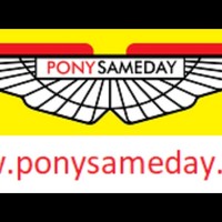 Pony Sameday