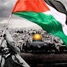 NOUR SHAREF