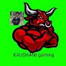 Gaming Kaushani