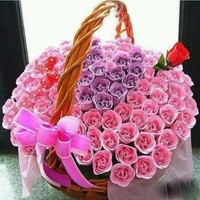 Javed Yaqoob
