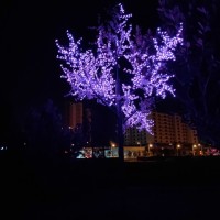 何昊阳
