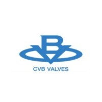 𝘾𝙑𝘽 𝙑𝘼𝙇𝙑𝙀𝙎