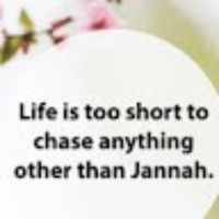 Arshia Shariff