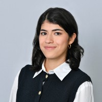 Elif Dinç