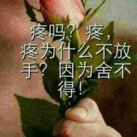 何缘浅