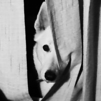 Monica Rainville-Baton