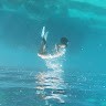 Amine Diver