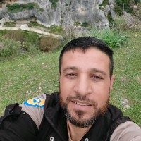 فادي الصالح