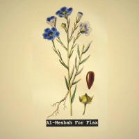 Arwa Mansour