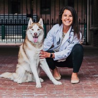 Morgan Spinelli, Vmd