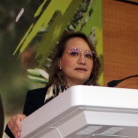 Salma El Iraqui El Houssaini