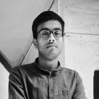 Animesh Majumdar