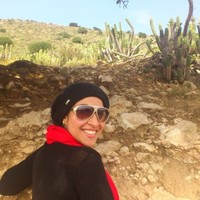 Menna Ali