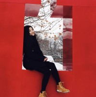 Shufei Pan