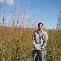 Mark Teshima, MSc, PChem