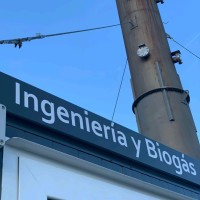 José Alberto Argüelles Curto