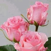 Mohammad Yousef