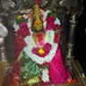 Vijaya Siva