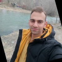 Ali Nasr