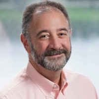 David Stein