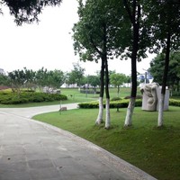 朱传刚