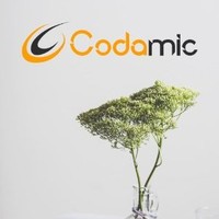 Codamic Innovations