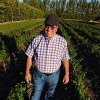 Ángel César Moschini