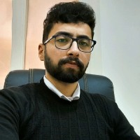 Amr Hussein
