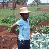 Nelsiwe Prudence Hlophe