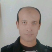 Hossam Eldin Mohammed