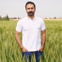 Taymour Heikal