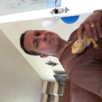 Rob Newman