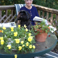 Christine Shepard