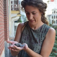 A.Alexandra Demertzi