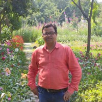 Raju Verma