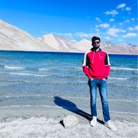 Vikash Panwar