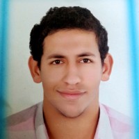 amr mansor