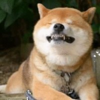 汪斯琪