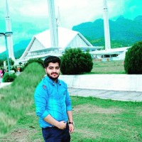 Muhammad Adeel Qadir