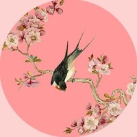 王金燕